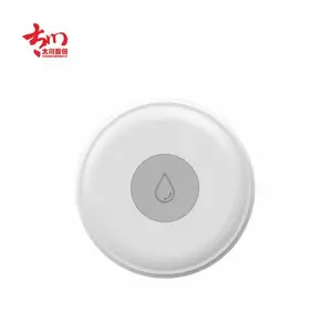 北京水浸报警器智能报警器北京智能家居系统智能网关产品厂家智能开关智能安防智能控制