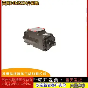����DEN***N����ѷ������˫��ҶƬ��T6CC-008-003-1R00-C100