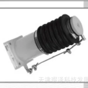 ������ PS-S25RBC JPI