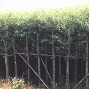 ��������������-�����д���������-ˮ����������۸�� -ˮ�����繩Ӧ��