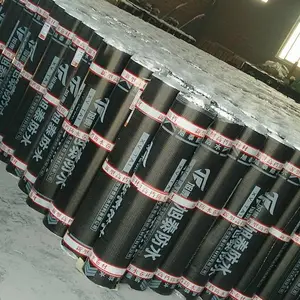 ���ױ���������ɸ�������sbs��ˮ���Ĺ���ͺ�