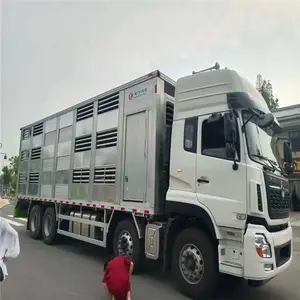铝合金拉猪专用车 猪苗运输车 恒温畜禽运输车 运猪专用车