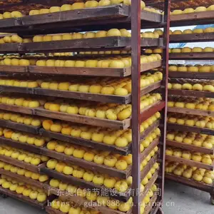 柿饼烘干机 空气能烘干机 陕西富平柿饼干燥机 厂家直销