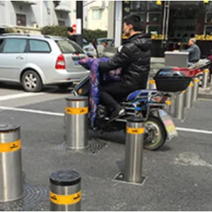 常州不锈钢升降柱是什么 值得信赖 上海毕诺电器供