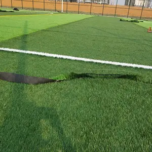 �����ƺ ������˷������������