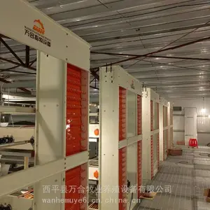 层叠蛋鸡笼 热镀锌鸡笼 全自动养鸡设备 四层鸡笼价格