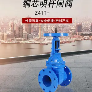 南高阀门生产 Z41T-16Q 法兰明杆闸阀 工业用阀 开阀轻巧密封可靠