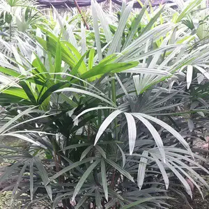 ��������ˮ������-��ɡ��ˮ����-�糵��-ˮ��-�ļ����������ˮ��