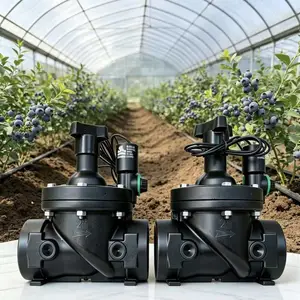 以色列Bermad伯尔梅特电磁阀农业牧场喷淋电磁阀直流DC24V交流AC24V灌溉减压电磁阀