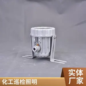 BSD96-3W 迷你防爆视孔灯安装便捷,小型反应釜观测照明功率电压规格均可按需定制