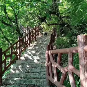 �������ݷ�ľˮ������ʩ����Ƶ �����ո߾���רҵ������ͤ���� ľդ��