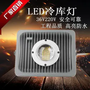 河南云轩 低压36V投光灯50w100w低温防水大型冷链物流冷冻库专用led灯
