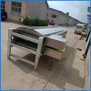 ��ˮ��34��������ë��