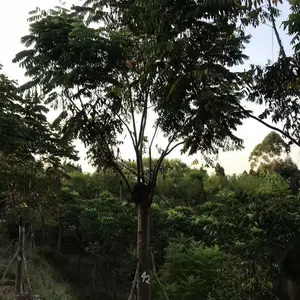 �� �� ����10-20�����������أ��������㣬���κ�
