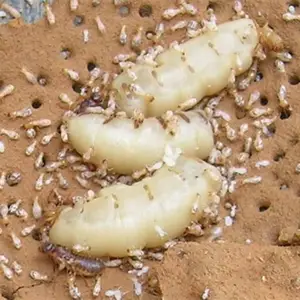 ����Դ���֧�У�����Σ�����յ㡢�����ҩ�ͷ�������Щ��