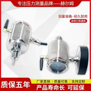 德国汉姆HM110 物联网LoRa NB-IoT 4G WiFi 无线温度传感器