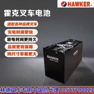 厂家授权代理HAWKER霍克48V700Ah蓄电池5PZS700电瓶适用林德叉车