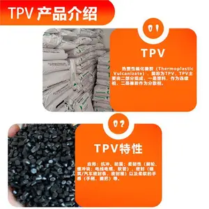 ����ɭ���ڰ���TPV 121-50M100���õĳ����� ��������