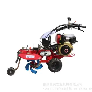 ���ͷ���186�Ϳ��������� ������ֲ������¢�� ������