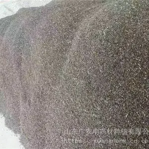 丹参种子(山东产),菏泽丹参种植,菏泽丹参种子,丹参育苗技术