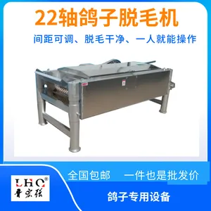 ��ʽ22���ϸ���ë��