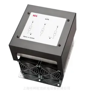 �������ڱ�������ȷ��AEG �¿��� Thyto-A1A400-170HRLP3