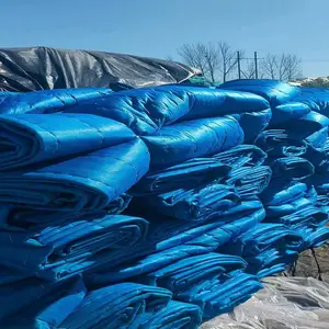 ���������ޱ� ���̲���˿�����±�