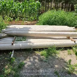 15cm������ˮ���ľ׮Ԥ��Բ����ľ׮�������Ụ�·�ľ׮