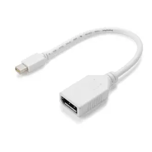 Mini DisplayPort to DisplayPort Cable