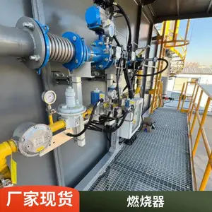 燃气燃烧器 低氮燃烧 燃烧充分 节省燃料 节能环保 岱鼎