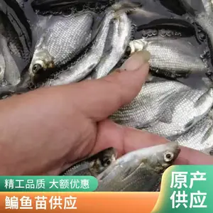 ���� �ƹ������������ 3-5�����޷�����