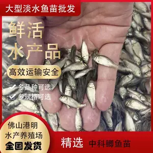 ���� ���� ͨ��������,俺�������������,��������ɻ�*** ��������