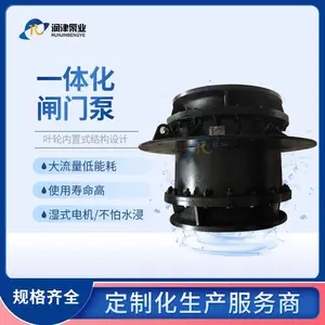 泵闸一体化设备制造商 全贯流潜水闸门泵生产厂家 润津泵业