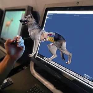 ����ѧ��ά������ѧ����