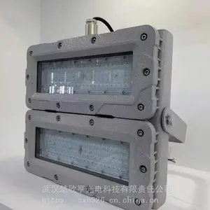LED������ ZL8842-200 220V200W��ѣ����� 300W��ˮ΢����ӦͶ���