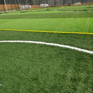 ����ר������� ��ɫ�����������ؽ��軧����