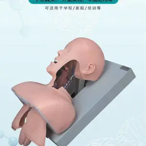 ����ҽ��J50�������ܽṹ���ѵ��ģ�Ϳڱ�ǻ�������Ȳ�����ѧ��ʾģ����