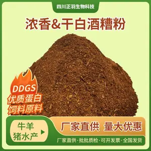 浓香酒糟粉 烘干粉碎 高粱稻谷玉米 蛋白13左右 牛羊猪鸡鸭鱼虾蟹饲料