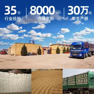��ʯ��Ϳ�Ͻ���ĸɲ��Ƭ�������ս���ĸ������ƬȾɫ��ĸ��ɫ��ĸ