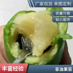 ���س��۷��͹��� ������ ͥԺ������ֲ������԰���̻��쾰������