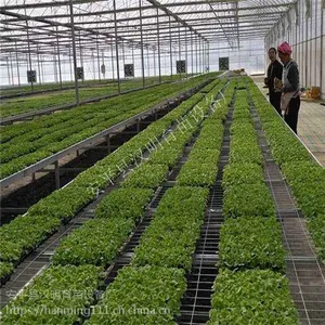 温室移动苗床 整体育苗床特点