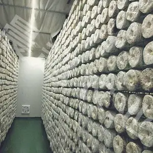网格架-晨超出菇网格架报价-河北晨超(诚信商家)