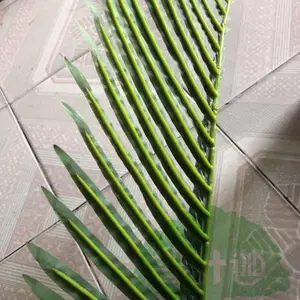 ���쾰��ֲ������ϲ���Ҷ�������BҶ������ɫ��