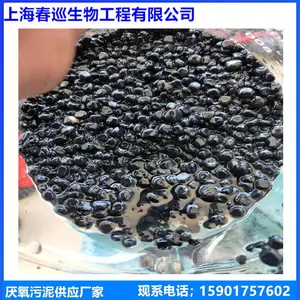 上海春巡造纸厌氧颗粒污泥，颗粒污泥菌种厂家，污水处理