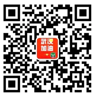 广东伟才教育科技股份有限公司