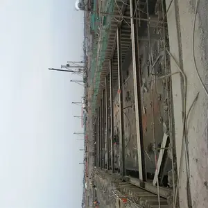 ����6�׸ְ�׮ ��ɭ�ְ�׮���޶���Ǯ