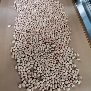 微波熟化烘烤设备 鲜虾虾仁烘焙设备 熟制生产线