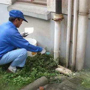 武汉酒店灭老鼠-好嘉(推荐商家)