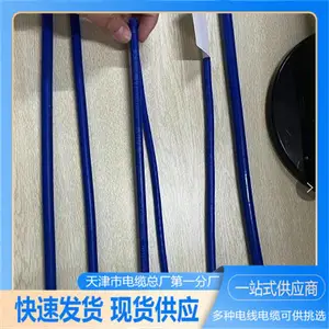 ZR-KVYP 24*1 ��ȼ���ε��� ������ϸ �����ȶ� �ͻ��ˮ