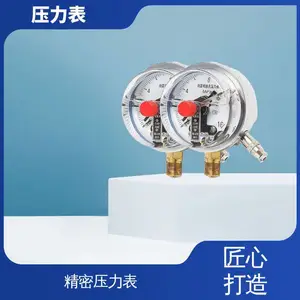 Y-B系列 立式 导管 直观 性能稳定 操作简单 数显压力表 天康